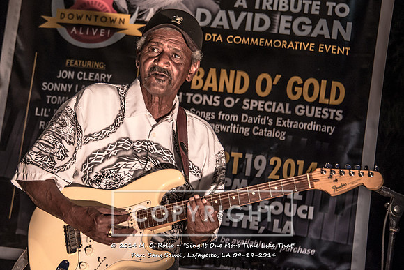 Sing It One More Time Like That, Parc Sans Souci, Lafayette, LA 9.19.14-056