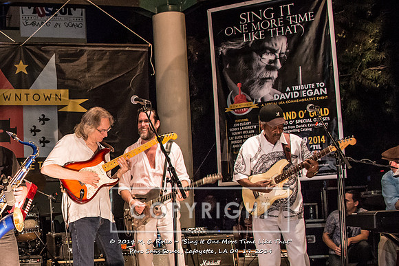 Sing It One More Time Like That, Parc Sans Souci, Lafayette, LA 9.19.14-085
