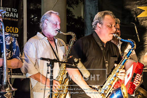 Sing It One More Time Like That, Parc Sans Souci, Lafayette, LA 9.19.14-087