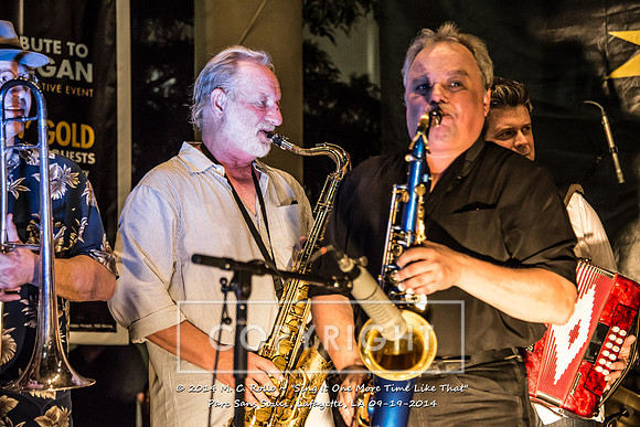 Sing It One More Time Like That, Parc Sans Souci, Lafayette, LA 9.19.14-088