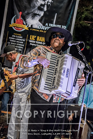 Sing It One More Time Like That, Parc Sans Souci, Lafayette, LA 9.19.14-155