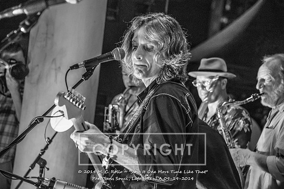 Sing It One More Time Like That, Parc Sans Souci, Lafayette, LA 9.19.14-191