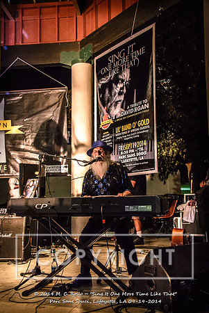 Sing It One More Time Like That, Parc Sans Souci, Lafayette, LA 9.19.14-335