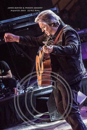 James Burton and Friends Concert  8-23-2014-562-3
