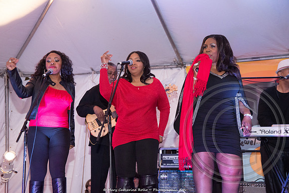 UNSCENE! A Tribute to Stan the Record Man Lewis, March 8, 2014-886-249