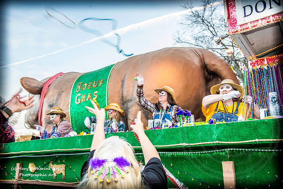 Airheart, Krewe of Centaur Parade, February 22, 2014-606-43