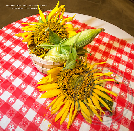 UNSCENE FOOD - ART - FILM June 20 2014-129-92