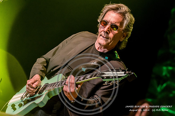 James Burton and Friends Concert  8-23-2014-736-11