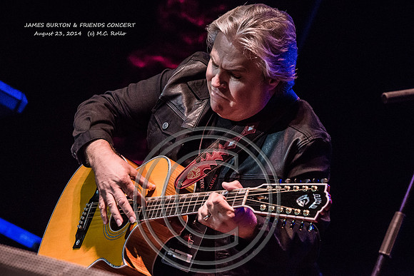 James Burton and Friends Concert  8-23-2014-532-6