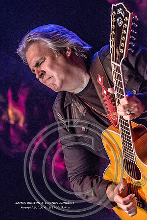 James Burton and Friends Concert  8-23-2014-527-2
