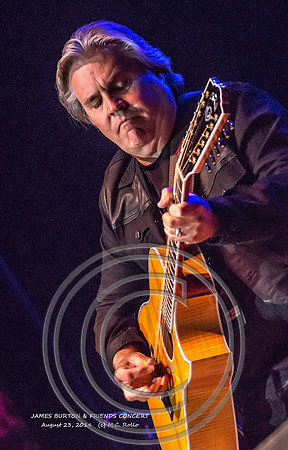 James Burton and Friends Concert  8-23-2014-510-1