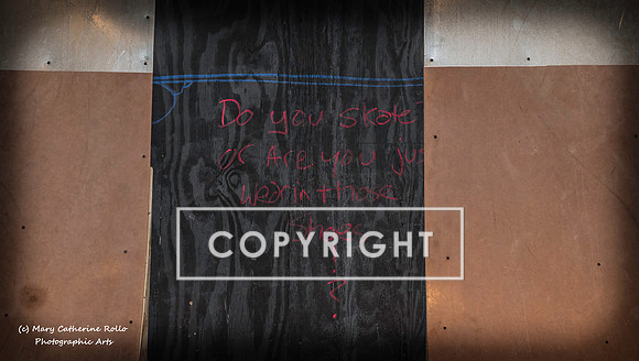 Generationless- Skateboarders are Artists, too!, January 31, 2014-63-18