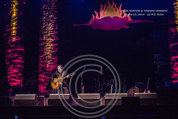 James Burton and Friends Concert  8-23-2014-499-32