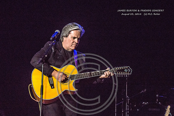 James Burton and Friends Concert  8-23-2014-498-31