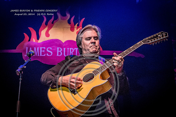 James Burton and Friends Concert  8-23-2014-516-5