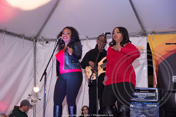 UNSCENE! A Tribute to Stan the Record Man Lewis, March 8, 2014-885-248