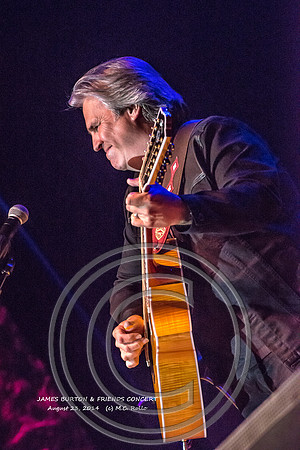James Burton and Friends Concert  8-23-2014-511-2