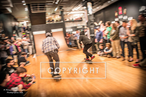 Generationless- Skateboarders are Artists, too!, January 31, 2014-304