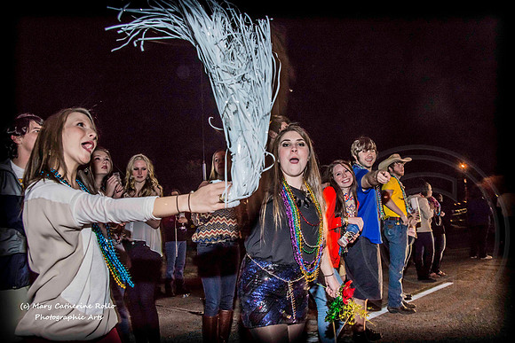 Airheart, Krewe of Centaur Parade, February 22, 2014-880-9