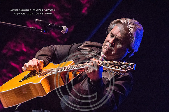 James Burton and Friends Concert  8-23-2014-509-1