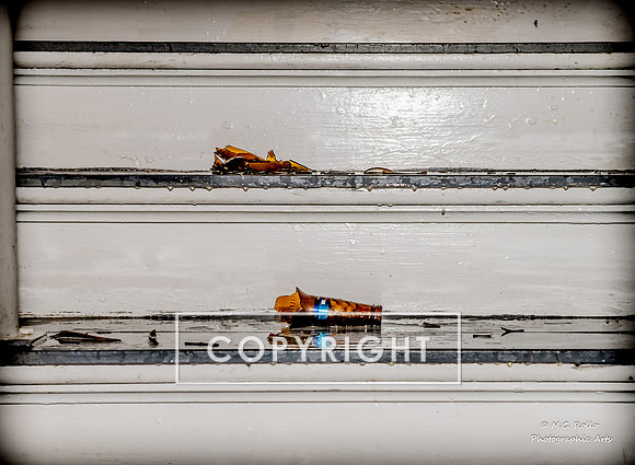 Generationless- Skateboarders are Artists, too!, January 31, 2014-380-11