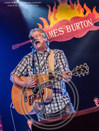 James Burton and Friends Concert  8-23-2014-599-1