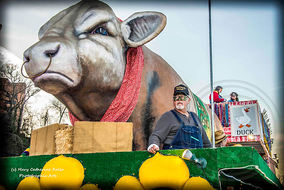 Airheart, Krewe of Centaur Parade, February 22, 2014-605-42