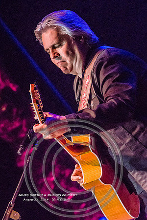 James Burton and Friends Concert  8-23-2014-508-1